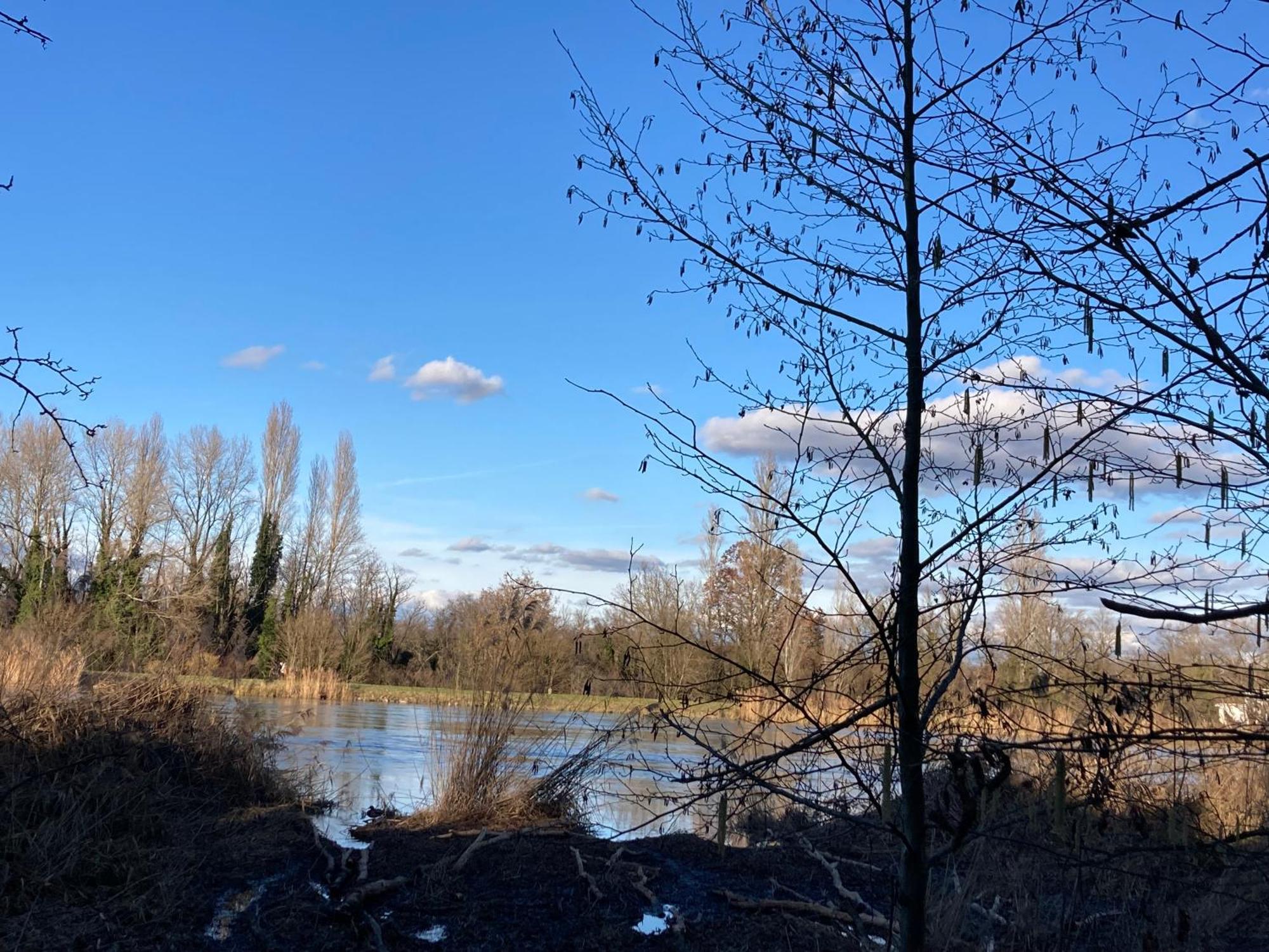 Au Calme Dans Maison En Rez De Jardin A 2,2 Kms Du Groupama Stadium Et Salle Ldlc Arena Meyzieu Exterior photo